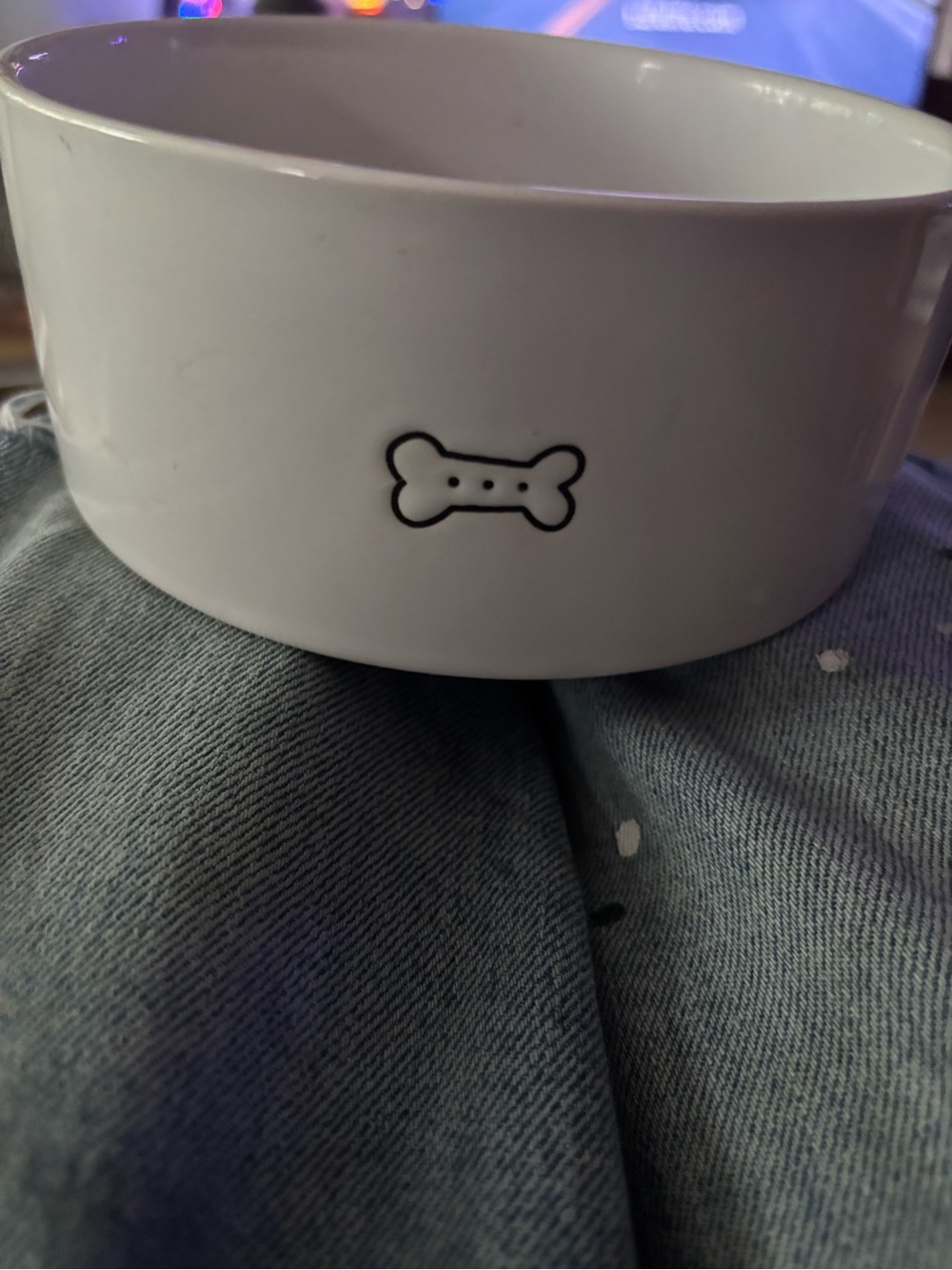 White Ceramic Dog Bowl with Black Bone Accent